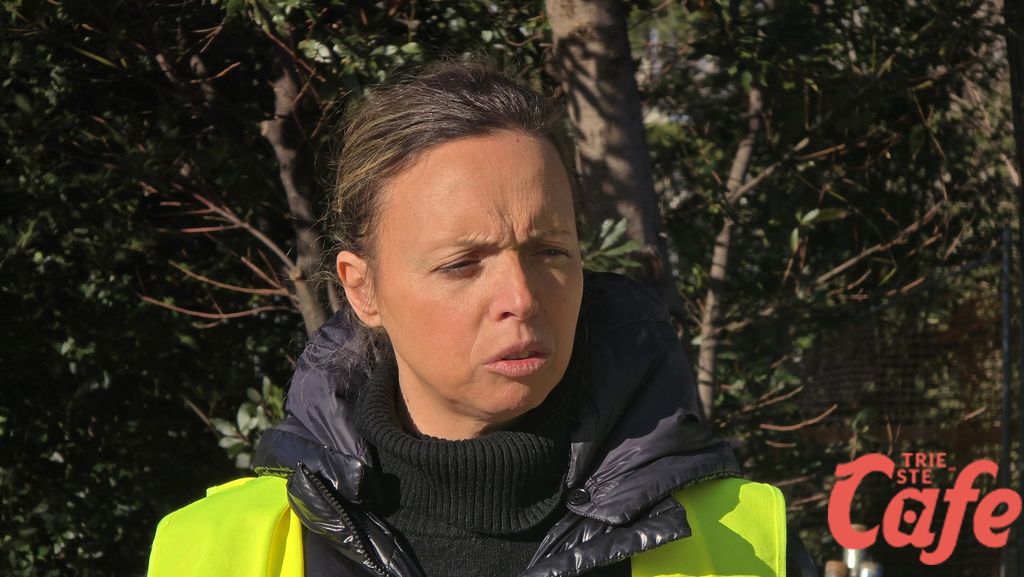 Trieste, scuole: verso la fine dell’era dei trasferimenti, Lodi «Nessun nuovo contenitore» (VIDEO)